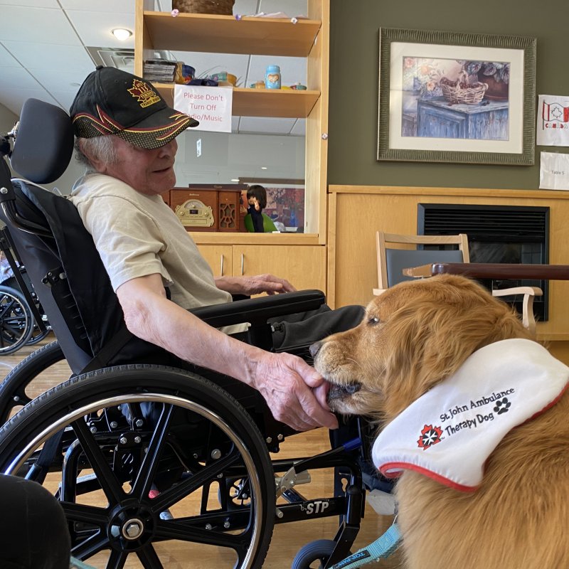 Photo of From fur to feathers: how animal-assisted therapy enhances person-centered dementia care